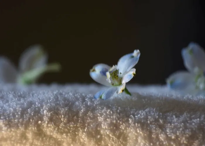 Myconian Naia - Preferred & (adults Only) Hotel Mykonos Town